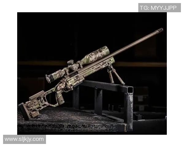 以Viper射手为核心打造无懈可击的远程输出战术体系