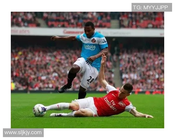 全球足球竞技文化演变与未来发展趋势深度观察与战略洞见研究新思 全球足球竞技文化演变与未来发展趋势深度观察与战略洞见研究新思