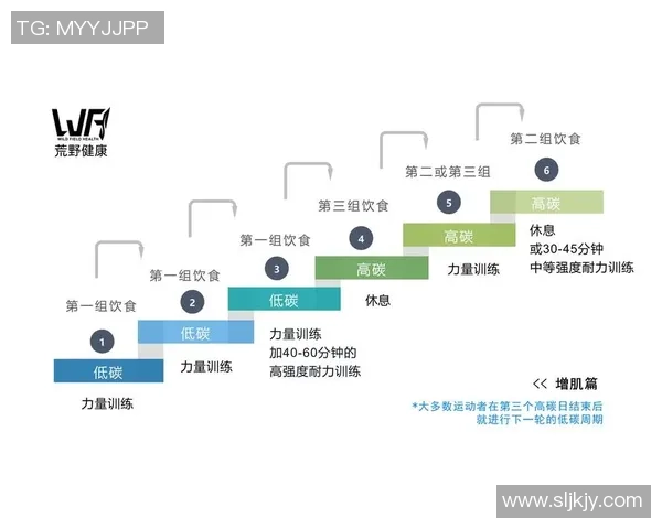 打造全方位健身计划提升体能与健康从力量训练到营养补充全面解析