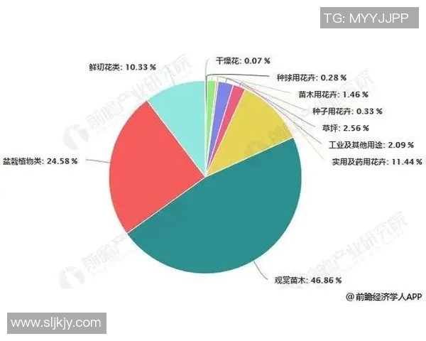 电竞行业蓬勃发展背后的技术革新与全球市场布局分析